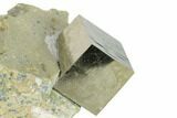 Natural Pyrite Cube In Rock - Navajun, Spain #152281-1